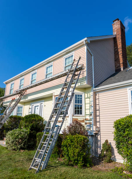 Best Aluminum Siding Installation  in Edneyville, NC